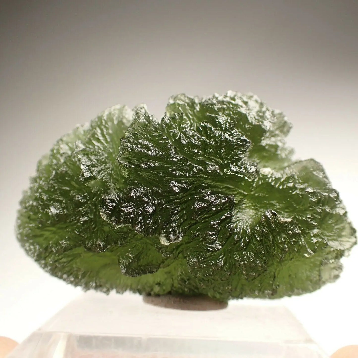 Moldavite Natural Crystal