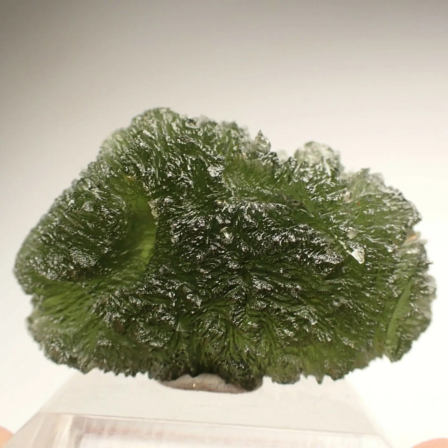 Moldavite Natural Crystal