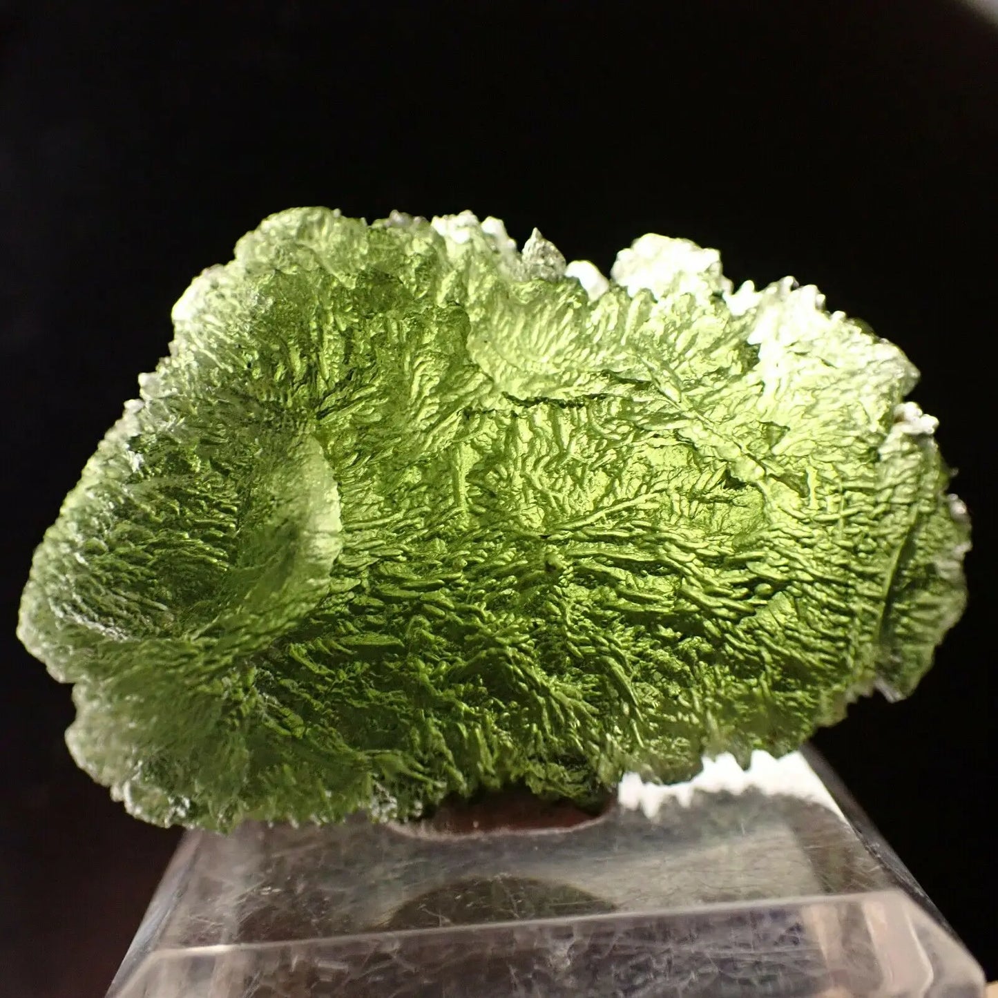 Moldavite Natural Crystal